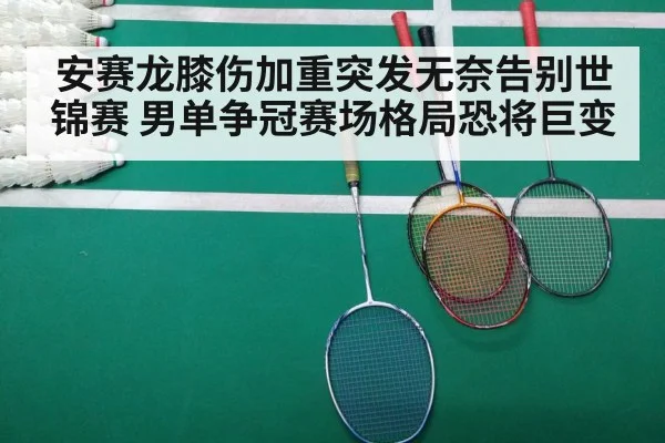 安赛龙膝伤加重突发无奈告别世锦赛 男单争冠赛场格局恐将巨变